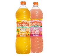 Aguas Frescas 2L