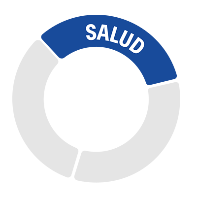 DIJ Identidad Visual _RUEDA 4_ SALUD