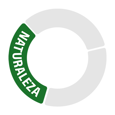 DIJ Identidad Visual _RUEDA 4_ NATURALEZA